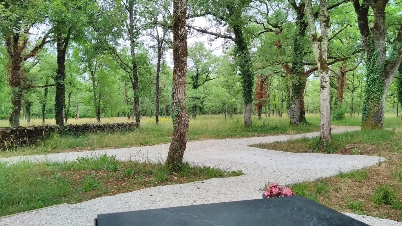 La Terrasse - A Peaceful Place In The Forest Concots Eksteriør bilde